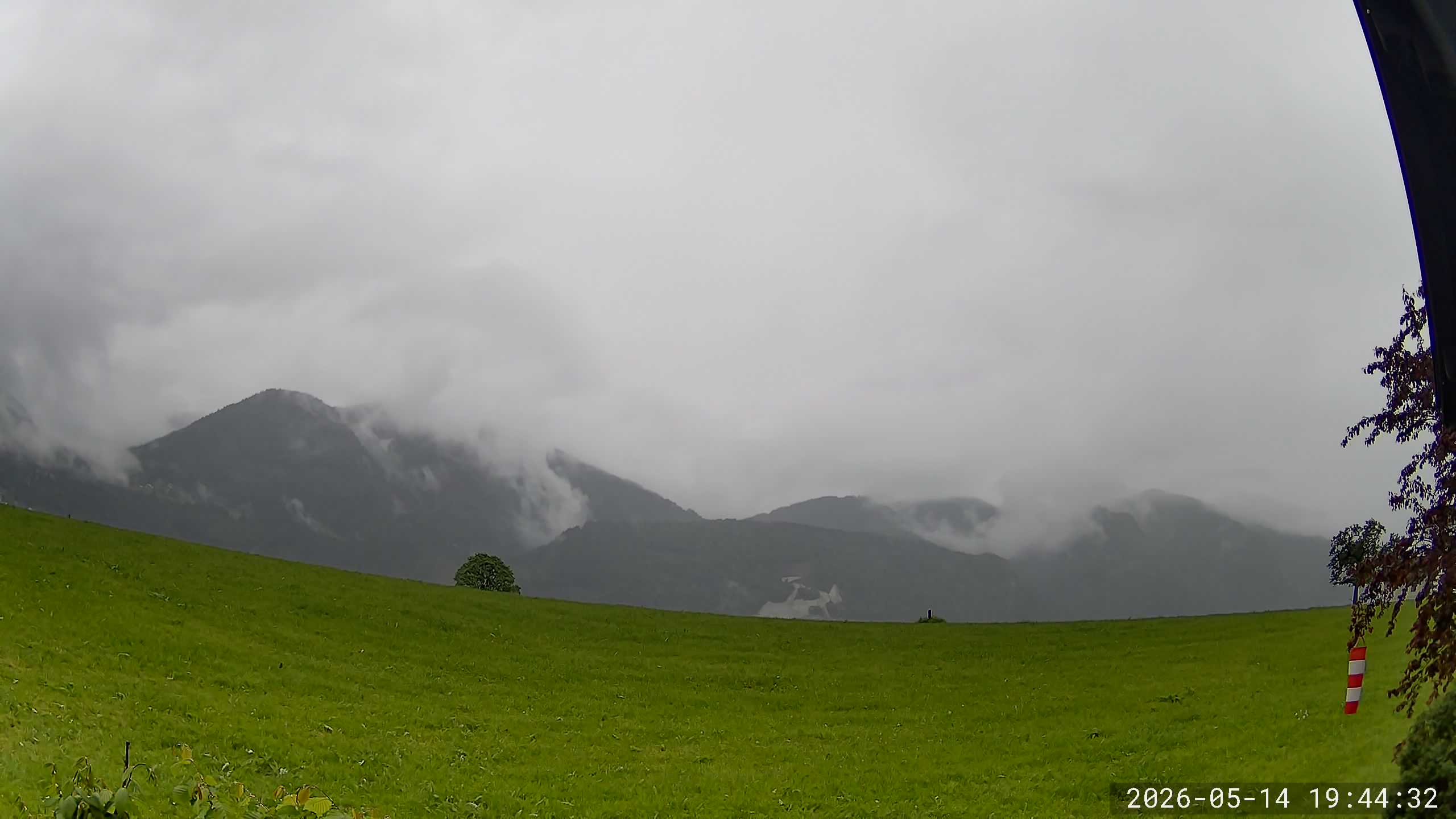 Webcam von 20260514