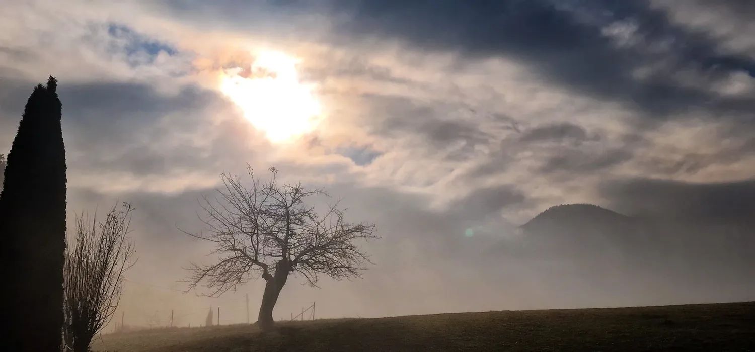 Erst Sonne/Nebel, dann Wolken und gegen Abend eine Front!