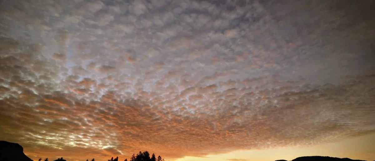 Föhn im Norden , Südstau im Süden!