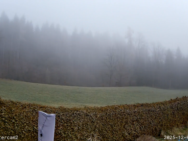 Wetterausblick bis Freitag den 5.12.2025+weitere Aussichten!