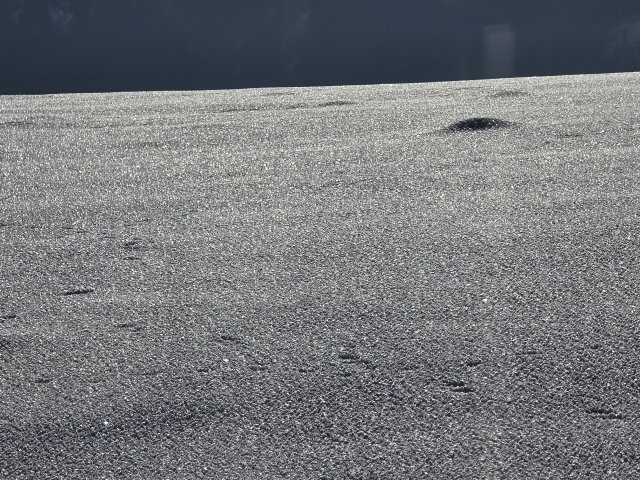 Warum glitzert Schnee? Ein kleines Wunder aus Licht und Eis!