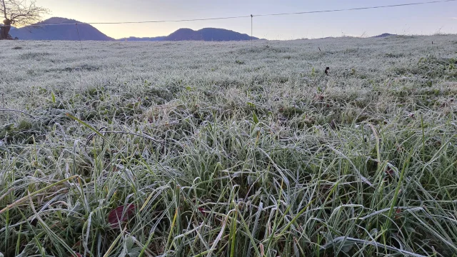 🌬️ Kaltfront bringt die Wende – Schnee rückt näher! ❄️