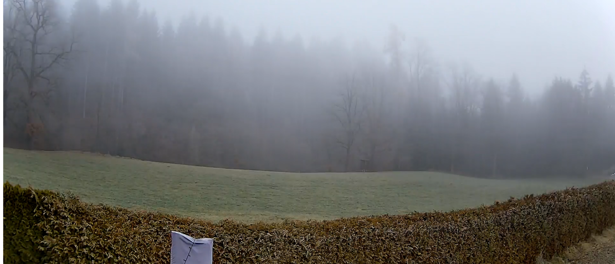 Wetterausblick bis Freitag den 5.12.2025+weitere Aussichten!