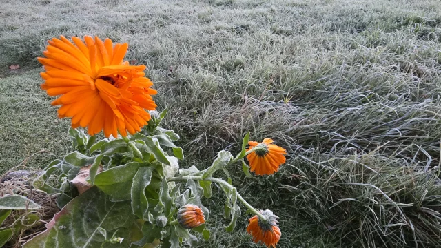 Wetterumstellung in Sicht!