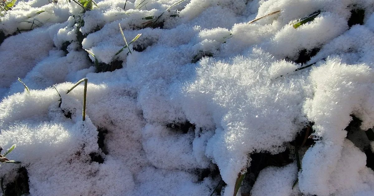 Das neue Winterdienst-Update ist da, jetzt noch übersichtlicher und präziser! ❄️