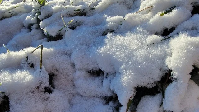 Das neue Winterdienst-Update ist da, jetzt noch übersichtlicher und präziser! ❄️