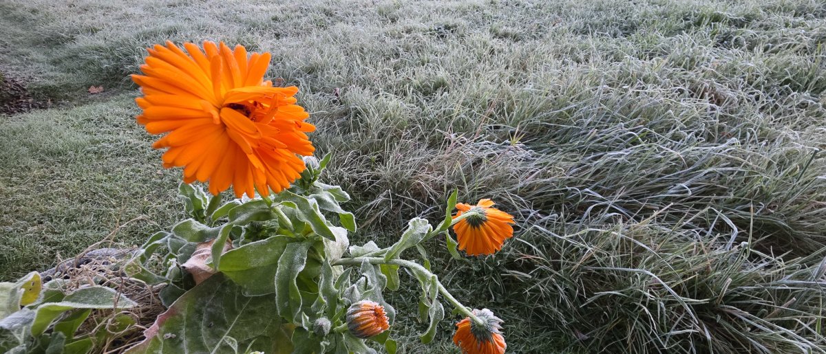 Wetterumstellung in Sicht!