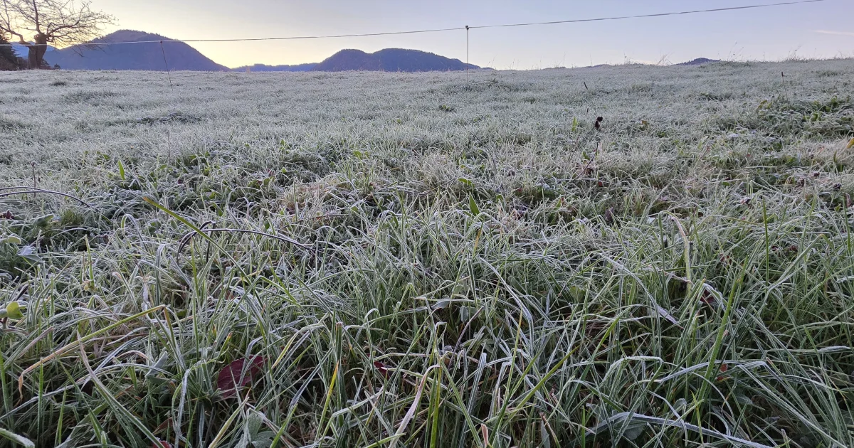 🌬️ Kaltfront bringt die Wende – Schnee rückt näher! ❄️