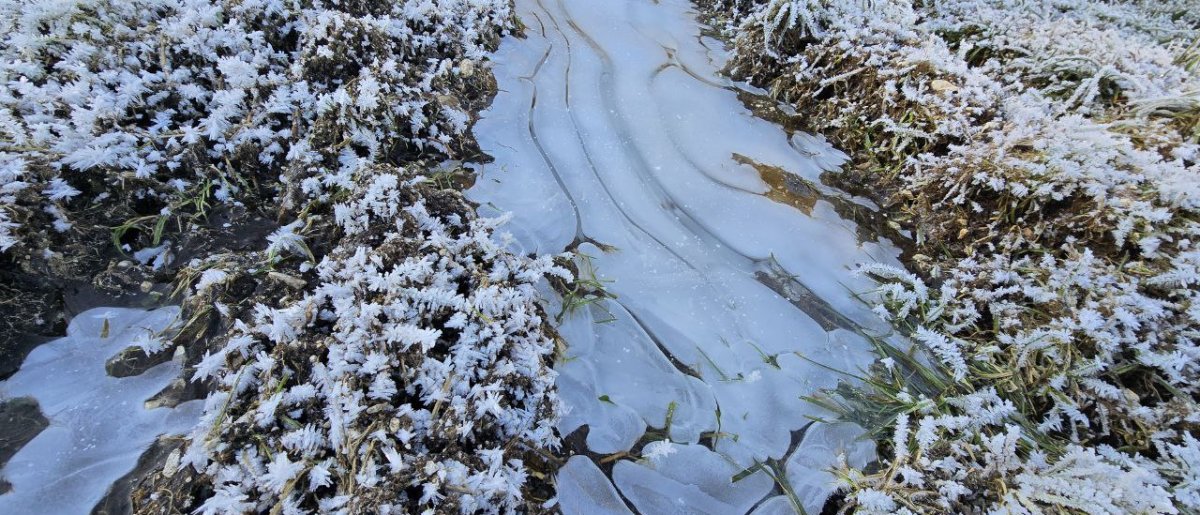 Frau Holle und Jack Frost kommen um zu bleiben!