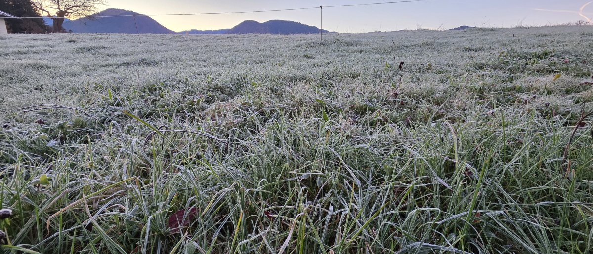 🌬️ Kaltfront bringt die Wende – Schnee rückt näher! ❄️