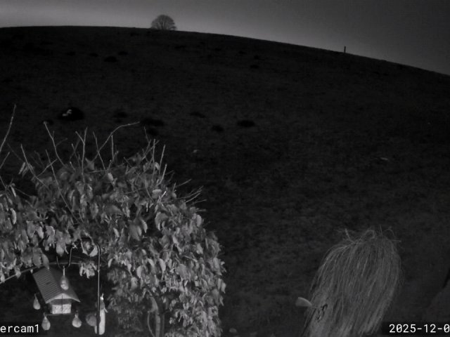 Nebelaufzug bei uns am Angerberg im Tiroler Unterland+Aussichten! 🌫