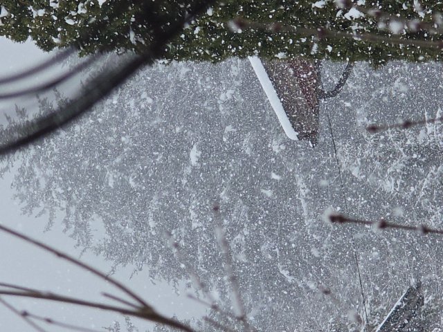 Technische Optimierung unserer Wetter-WebApp, Informationen zu Neuschnee und Winterdaten