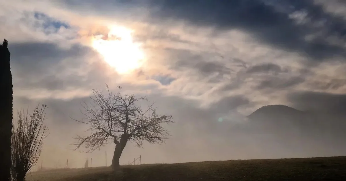 Erst Sonne/Nebel, dann Wolken und gegen Abend eine Front!