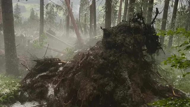 Hitzerekord möglich/Hitzegewitter am heutigen Samstag!