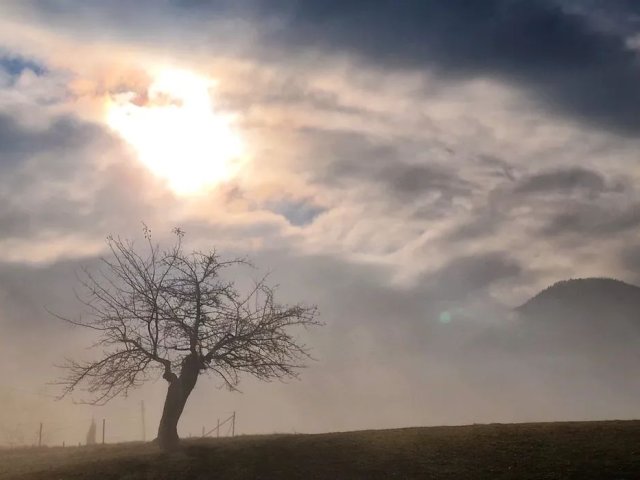 Erst Sonne/Nebel, dann Wolken und gegen Abend eine Front!