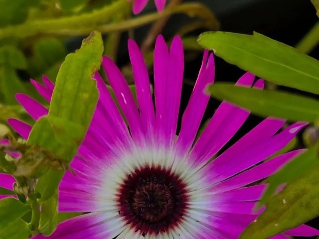 Vorfrühlings-Phase setzt sich fort, Winter bis Mitte März ohne Comeback?