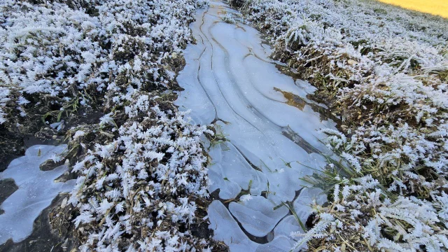Frau Holle und Jack Frost kommen um zu bleiben!