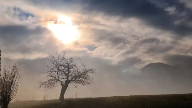 Erst Sonne/Nebel, dann Wolken und gegen Abend eine Front!