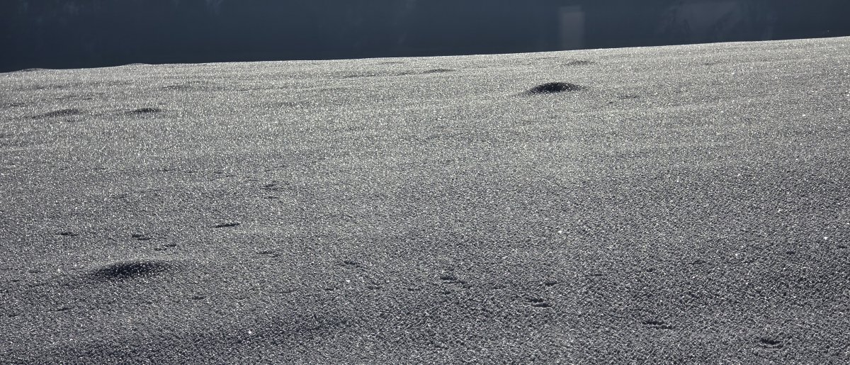 Warum glitzert Schnee? Ein kleines Wunder aus Licht und Eis!