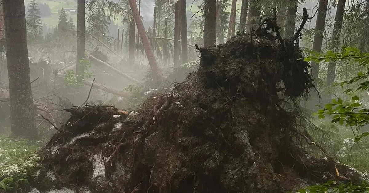 Hitzerekord möglich/Hitzegewitter am heutigen Samstag!
