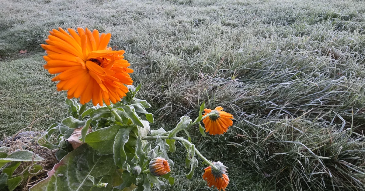 Wetterumstellung in Sicht!