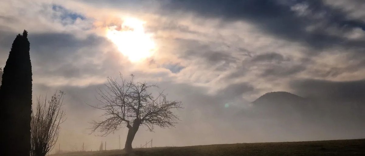 Erst Sonne/Nebel, dann Wolken und gegen Abend eine Front!