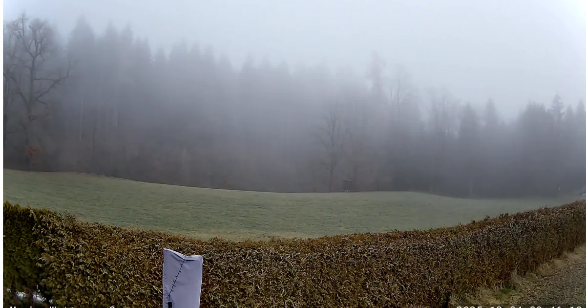 Wetterausblick bis Freitag den 5.12.2025+weitere Aussichten!