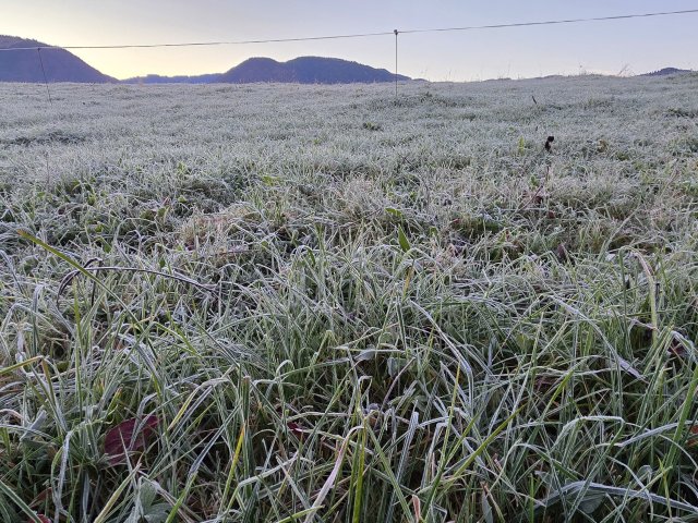 🌬️ Kaltfront bringt die Wende – Schnee rückt näher! ❄️