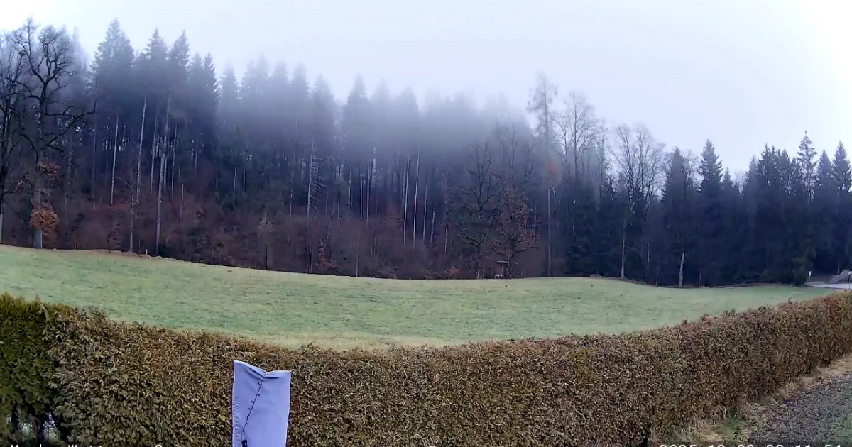 Erst Sonne und mild, dann zartes Fröntchen aus Nordwesten am Donnerstag!