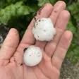 Hitzegewitter in Tirol: Erhöhte Unwettergefahr am Sonntag !