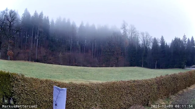 Erst Sonne und mild, dann zartes Fröntchen aus Nordwesten am Donnerstag!