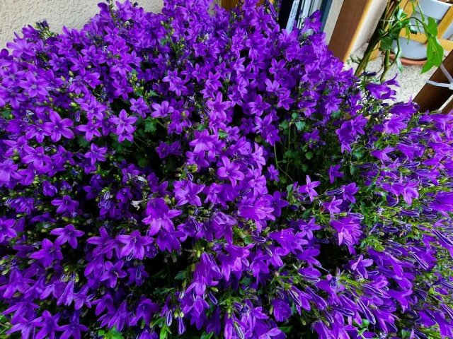 🌸🌤 Willkommen im meteorologischen Frühling in Tirol! 🌤🌸