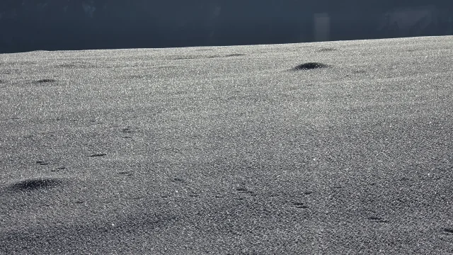 Warum glitzert Schnee? Ein kleines Wunder aus Licht und Eis!