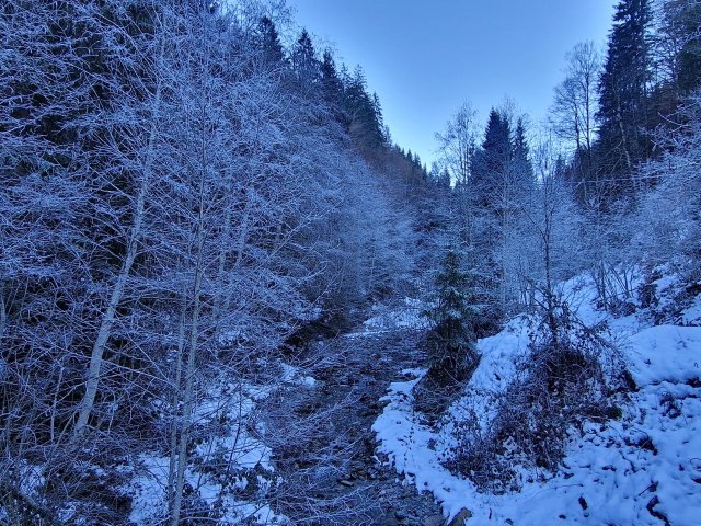 Wetter bis Heiligabend: Erst ruhig, dann wieder spannend?