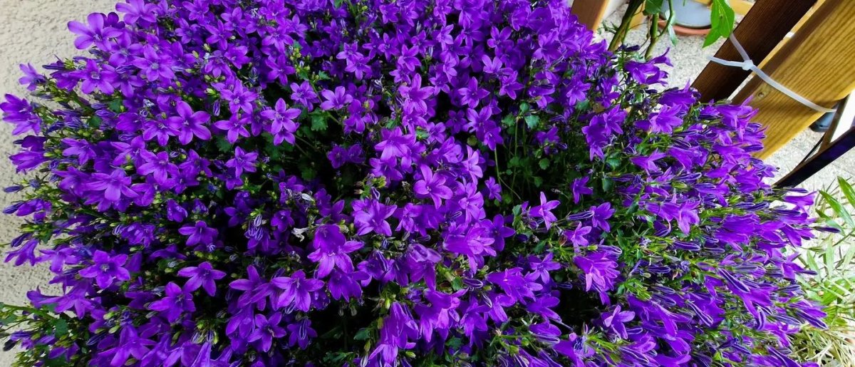 🌸🌤 Willkommen im meteorologischen Frühling in Tirol! 🌤🌸