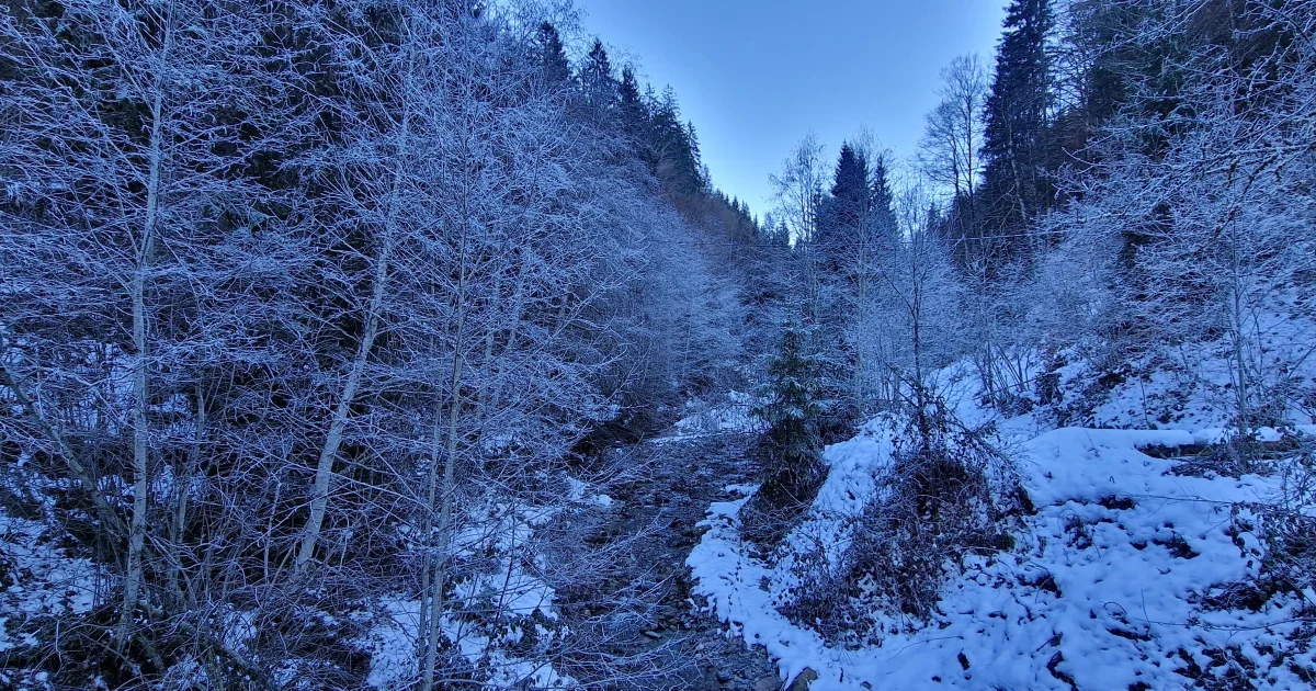 Wetter bis Heiligabend: Erst ruhig, dann wieder spannend?